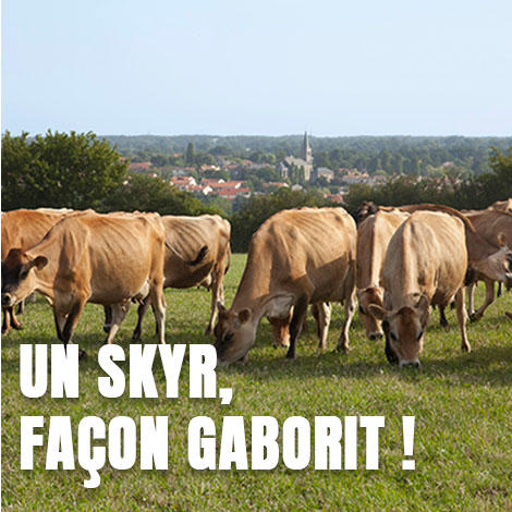 Un skyr, oui, mais à la façon Gaborit !