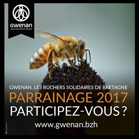 Gwenan : les ruchers solidaires de Bretagne