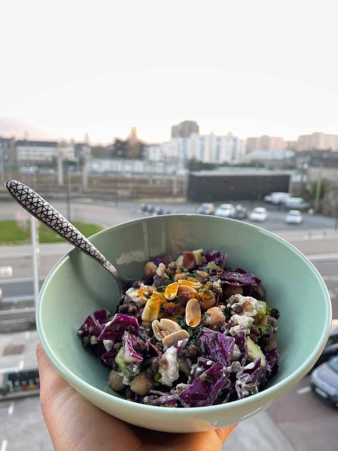 Salade de chou rouge, féta, pois chiche, avocat par Cédrine Kerdraol