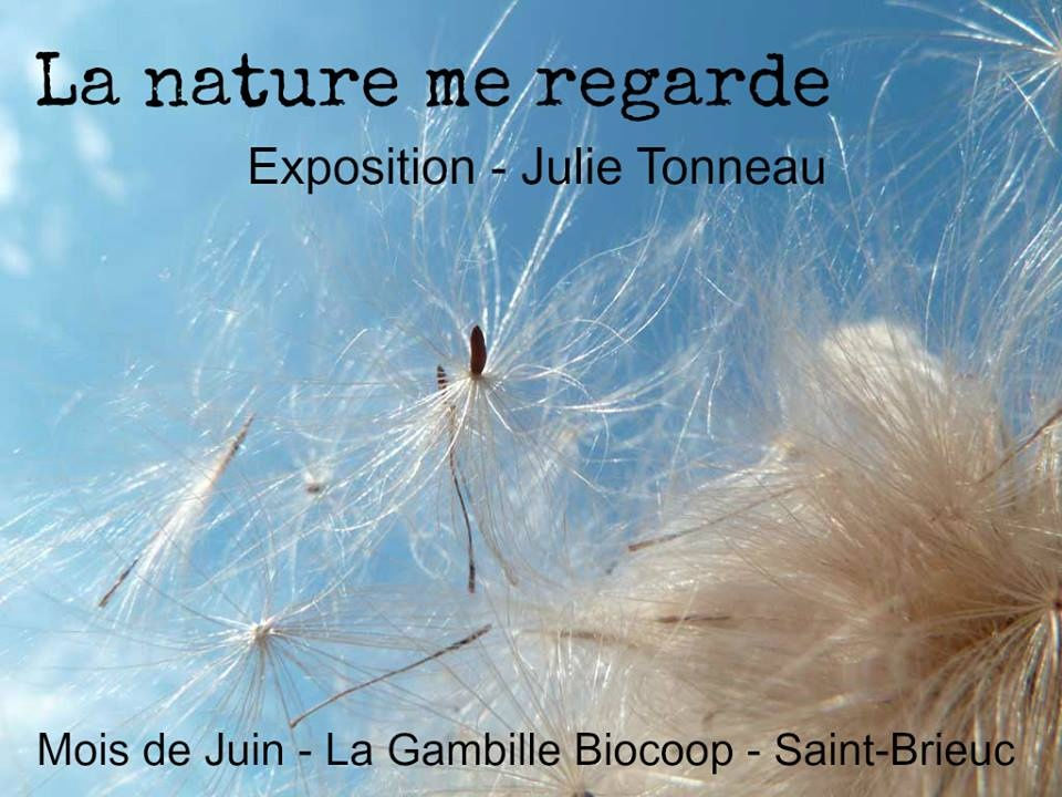 expo photos La Nature me regarde de Julie Tonneau